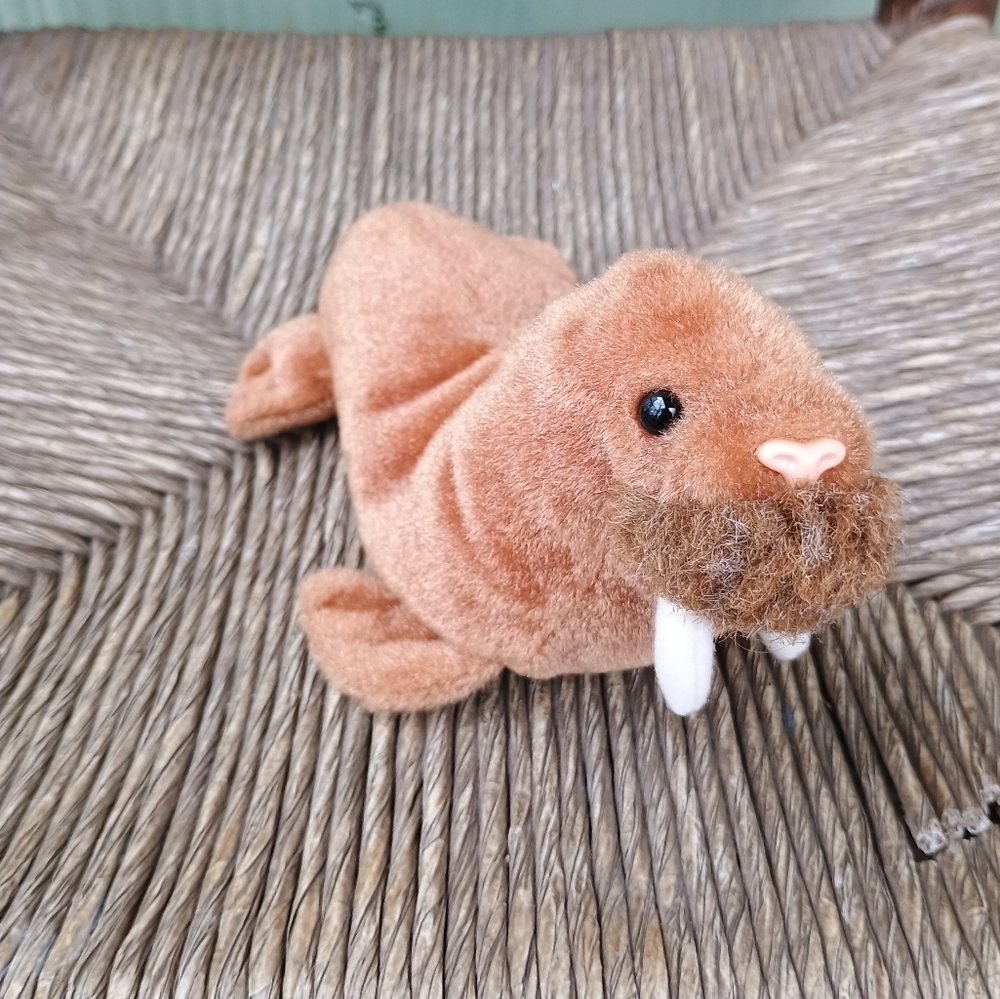Paul the Walrus 1999 Vintage TY Beanie Babies 6in No Tag